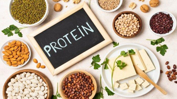 protein